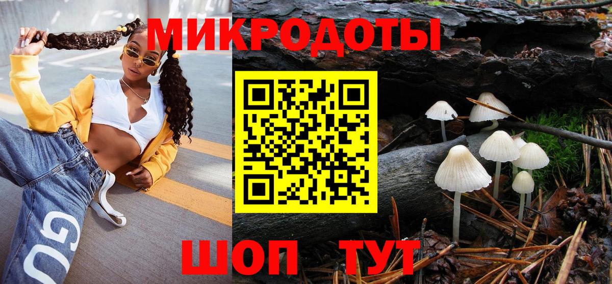 Галлюциногенные грибы Psilocybine cubensis Черногорск