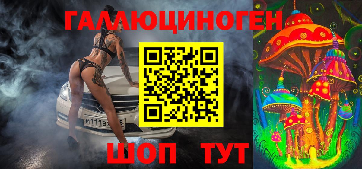 Черногорск  Галлюциногенные грибы Psilocybe  Вход с VPN 
